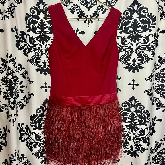 Ark & Co Burgundy Feathered Mini Dress NWT - Picture 3 of 7